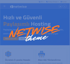 Netwise - Wisecp Tema